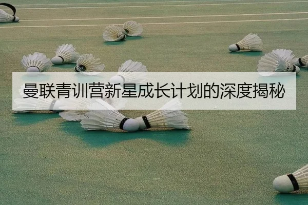 曼联青训营新星成长计划的深度揭秘